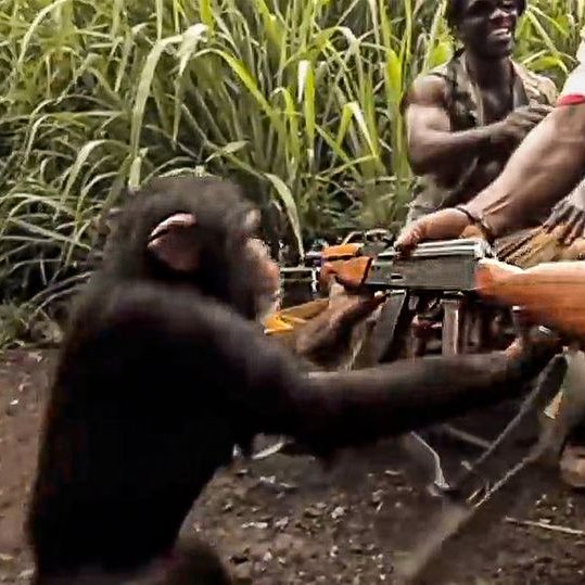 Boşuna Tıklama tweet media