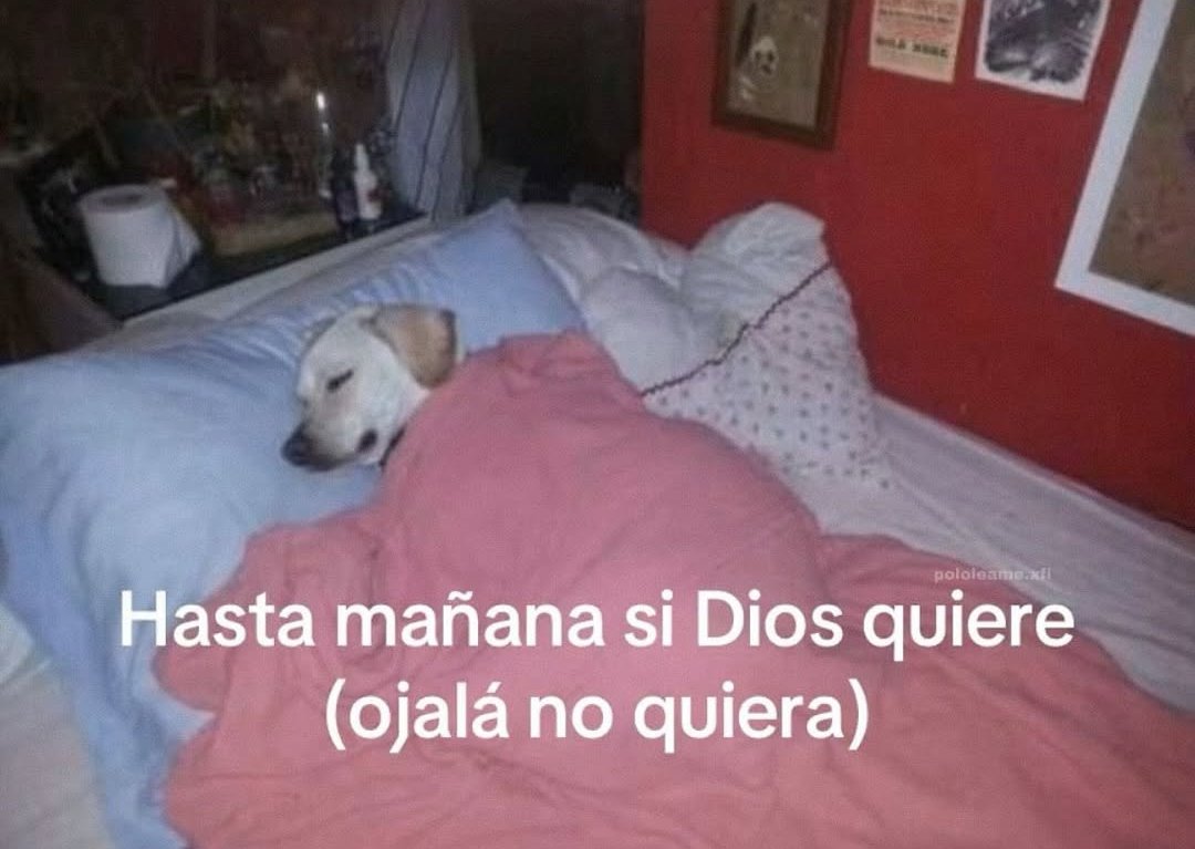 triste y con ganas de morirme ☹︎ tweet media