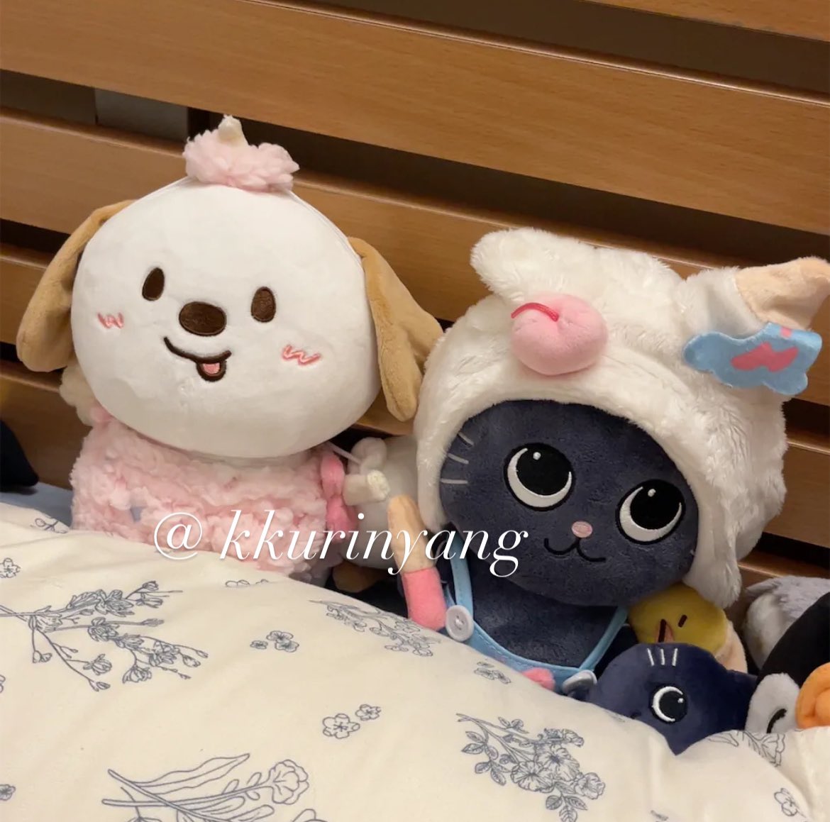 냥🪽(odetolove’s version) tweet media