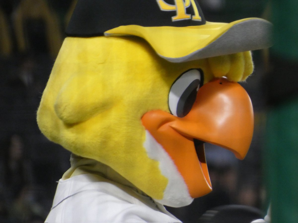 🏃🏻835➰ tweet media