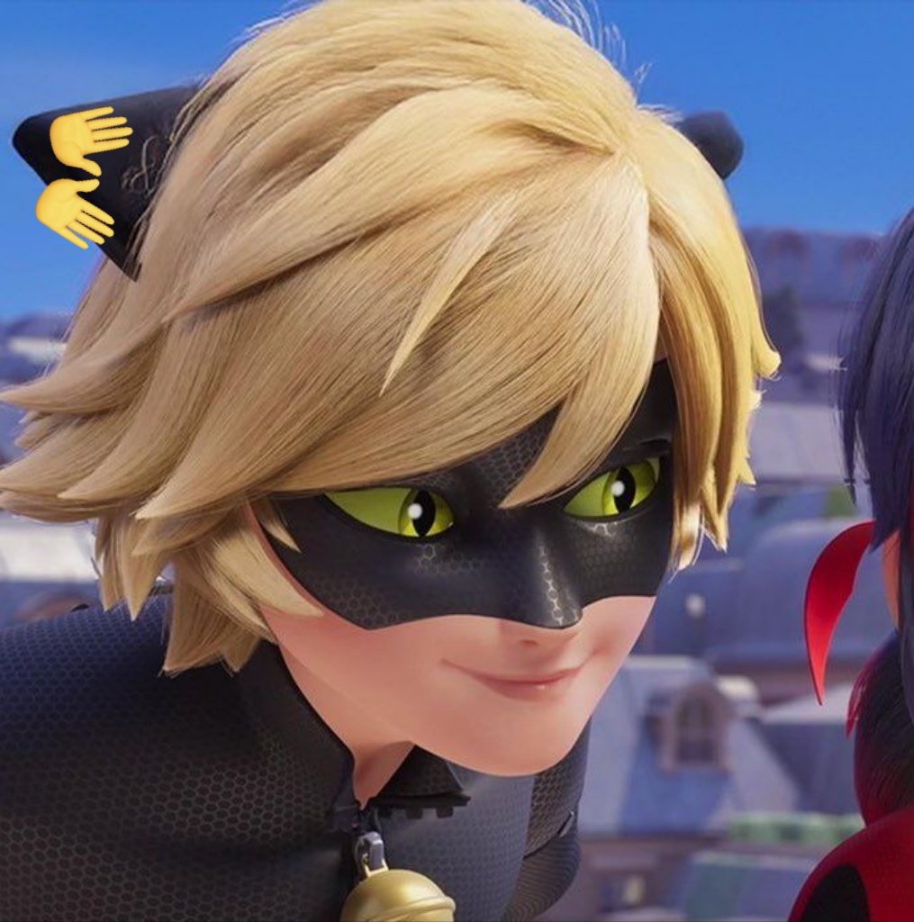 Acervo Chat Noir 🐈‍⬛ tweet media