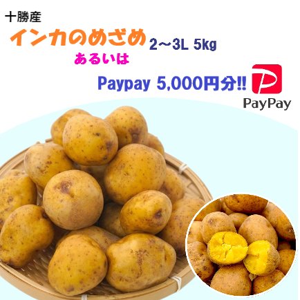 フードシティ【公式】 tweet media