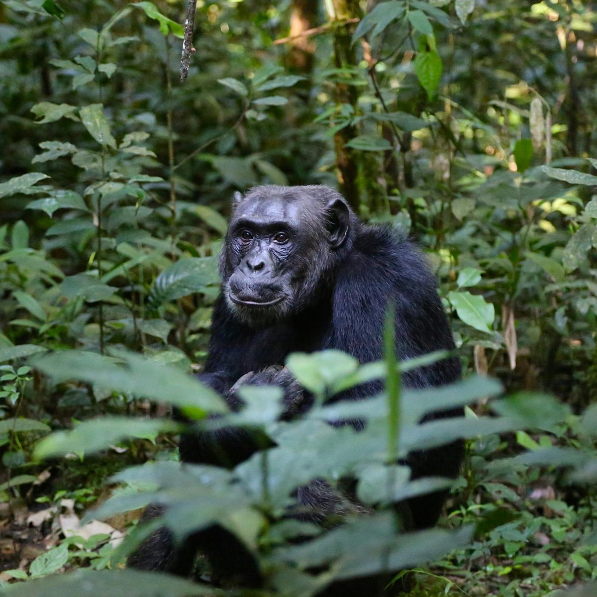 Boşuna Tıklama tweet media