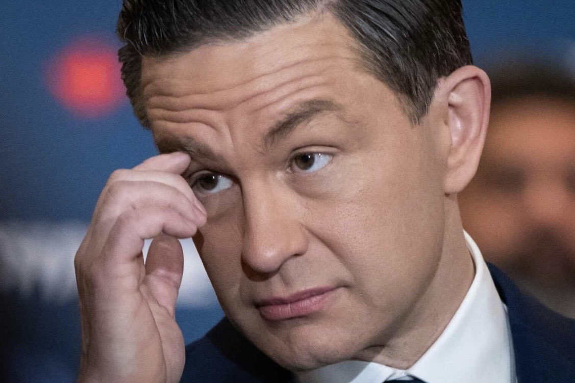 Wenda Ismay Toews🇨🇦 tweet media