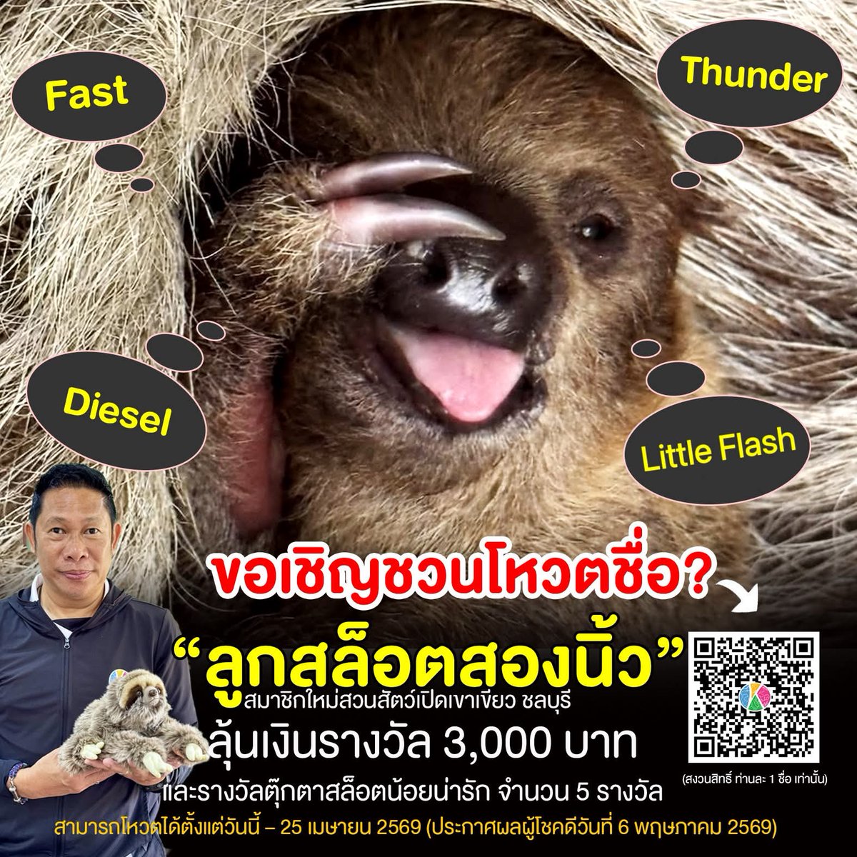 สวนสัตว์เปิดเขาเขียว Khao Kheow Open Zoo tweet media