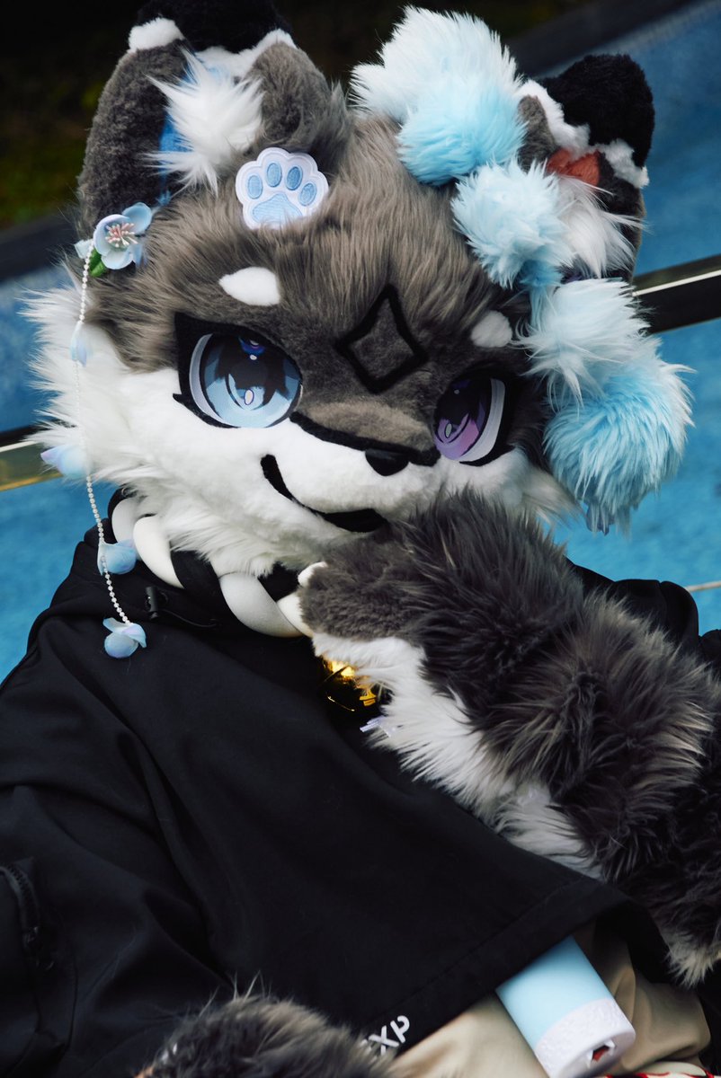 Anze_furry's tweet photo. Owo https://t.co/lAcRAPEycv