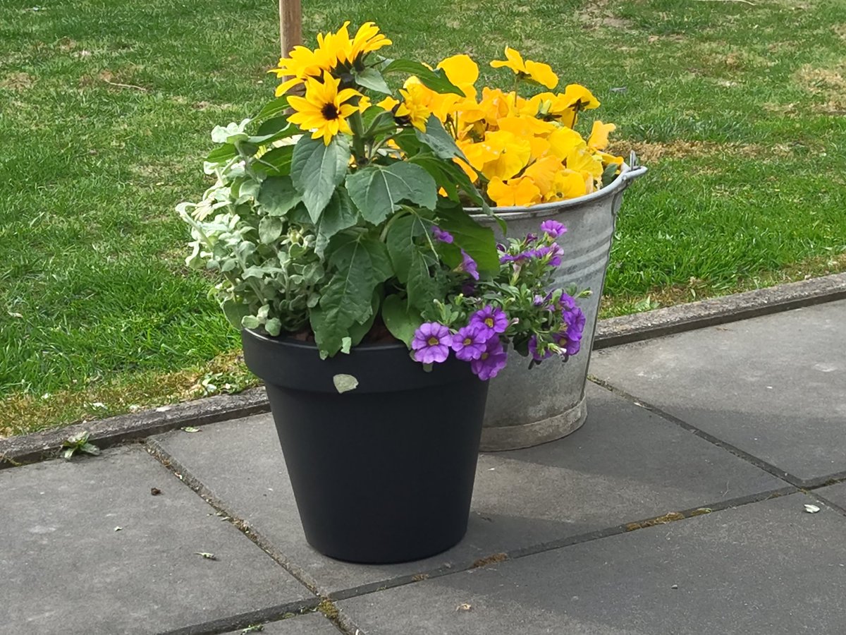 Aline van den Berg tweet media