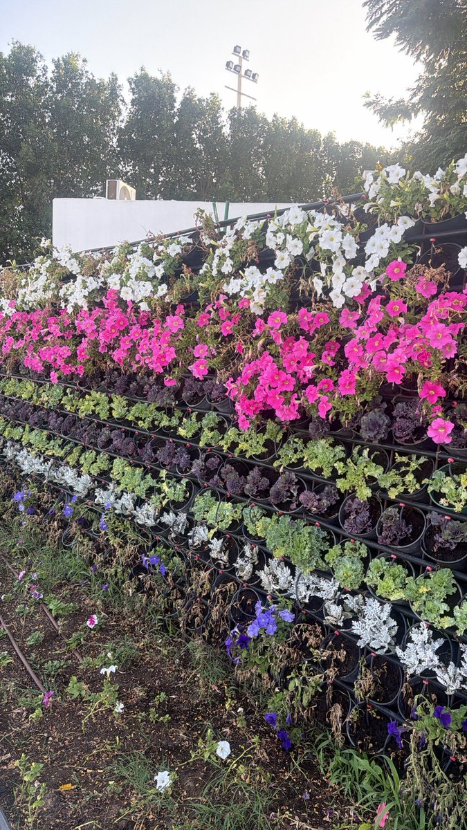 جــهاد tweet media