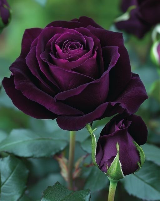 Amazingine tweet media