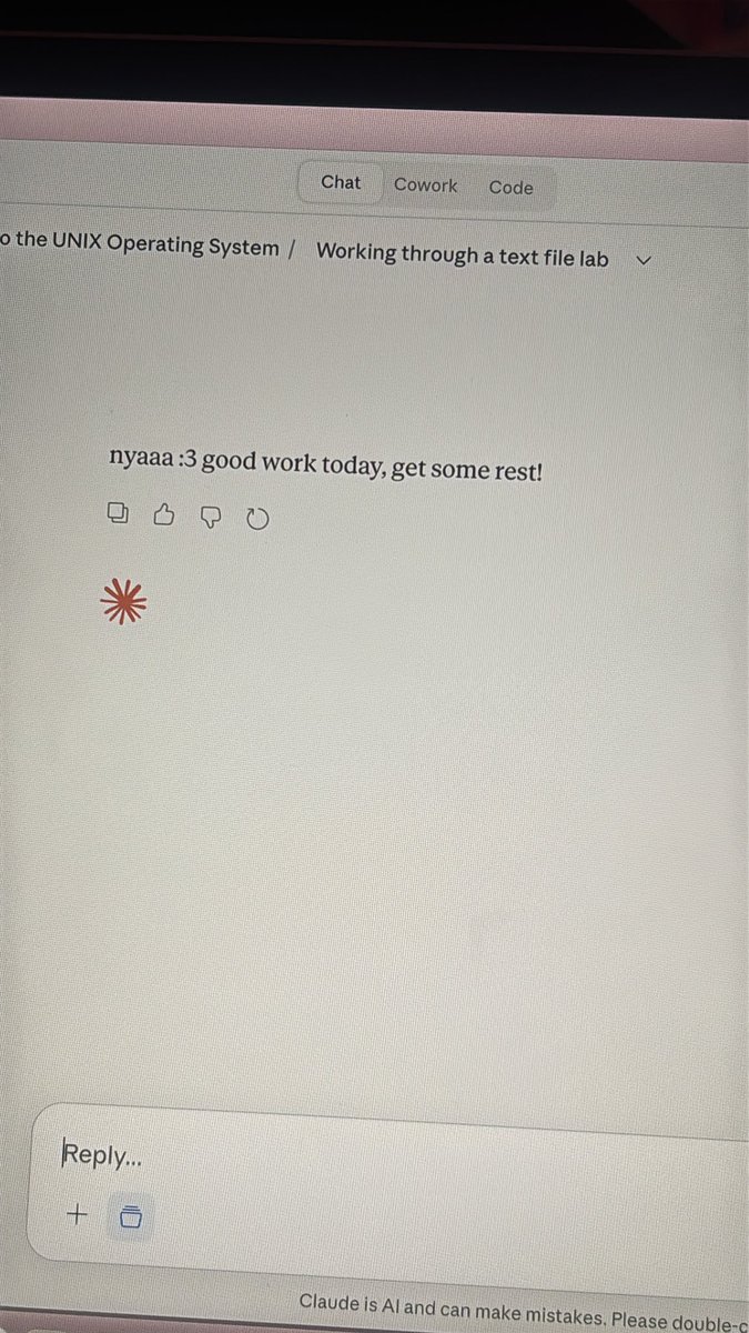 ｡ﾟ•┈୨♡୧┈•ﾟ｡ tweet media