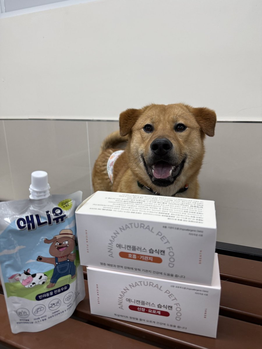 가족찾는 강아지들🐾 tweet media