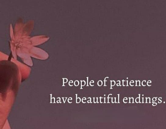 DrnausheenY's tweet image. #friday #fridaythought #patience #hope #gratitude #beautiful #soul #lessons✨️🌼
