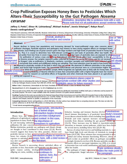 Razia Aliani tweet media