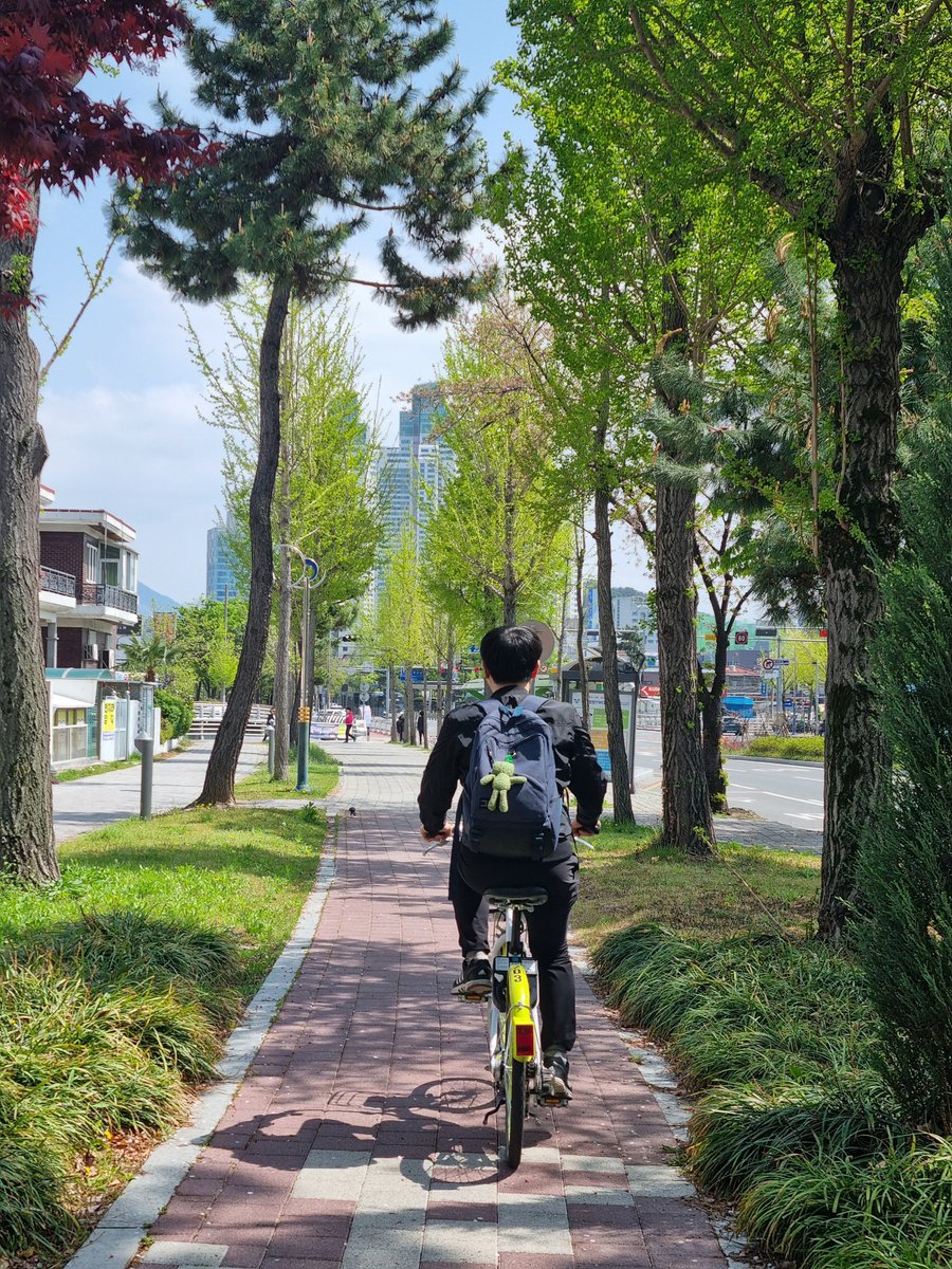 Festiny(林虎太郎VR) tweet media