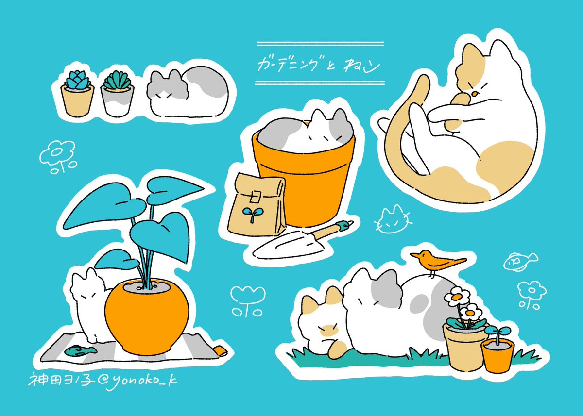 yonoko_k's tweet photo. 🪴🐱🐟 https://t.co/h4FoDRxVMt