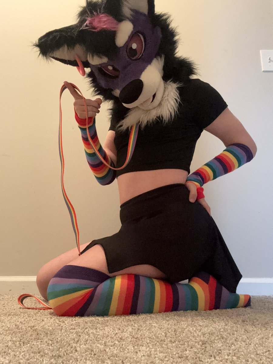 ShaydeMellow's tweet photo. Anyone wanna go for walkies?~ #furry #gay #lgbtq #nsfw https://t.co/yrLoZrMM5G