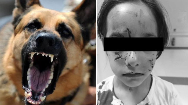 Kuzeyli55 tweet media