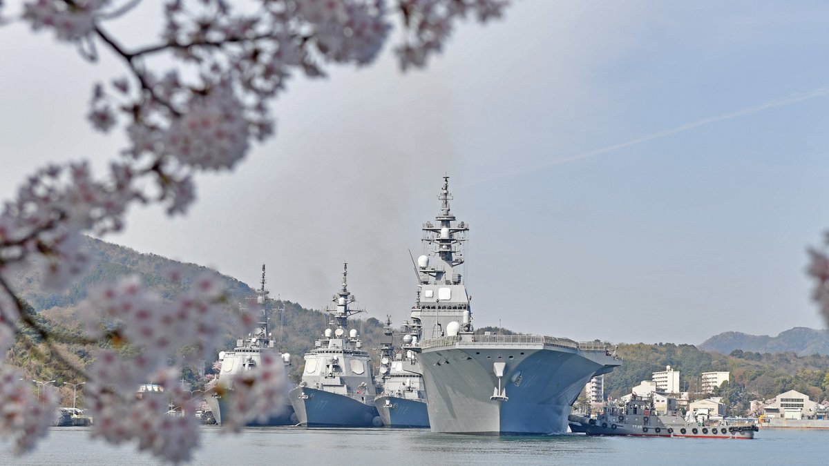 練習艦隊・入隊式と共に見ごろを迎えた舞鶴の桜🌸をお届けします