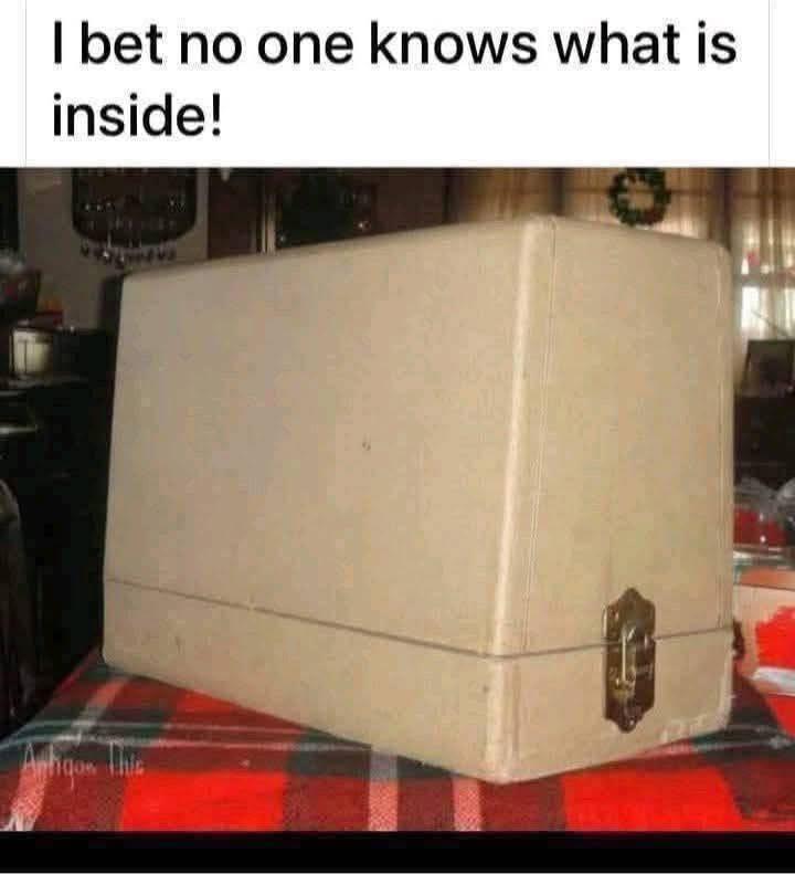 Lily Rosewood tweet media