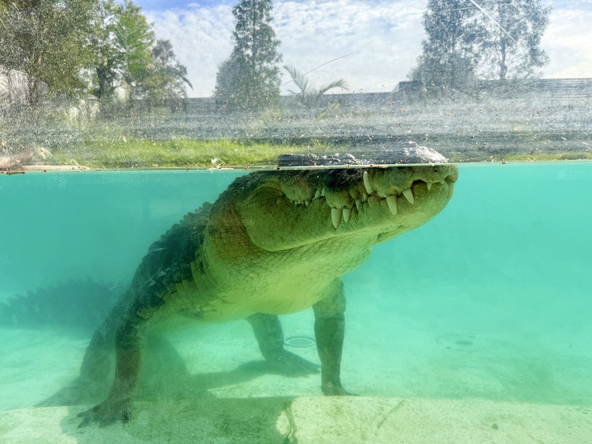 Stephen Royle tweet media