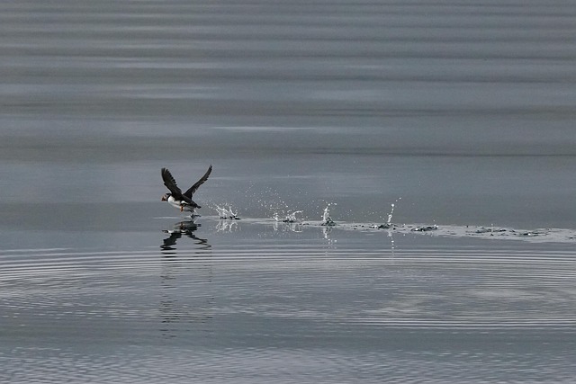 Lisa James tweet media