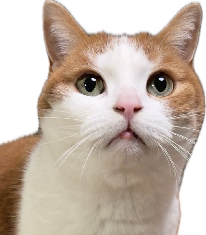 病院行ってきます🫡
（歯石取り）