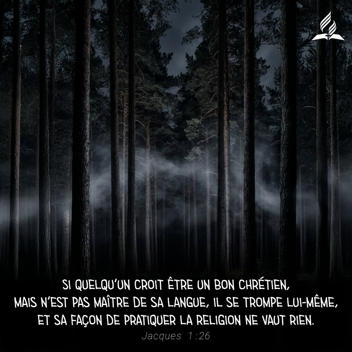 Église d'Épinal tweet media