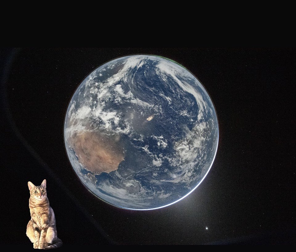 Alessandro Loppi tweet media