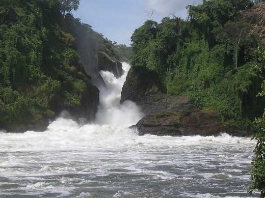 Murchison Falls National Park tweet media