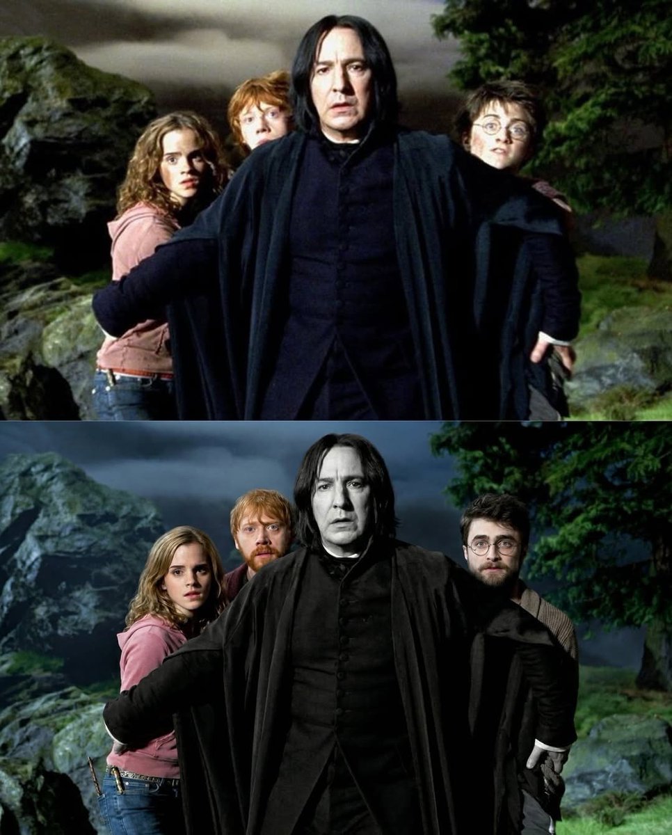 TheDailyHPotter's tweet photo. Gone but never forgotten 💔🥺 https://t.co/eigrhRIzPQ