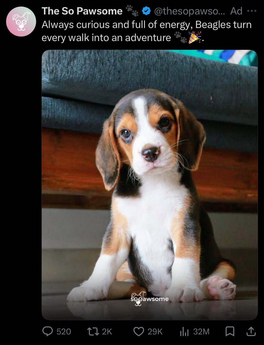 Teio (Fleechi) tweet media