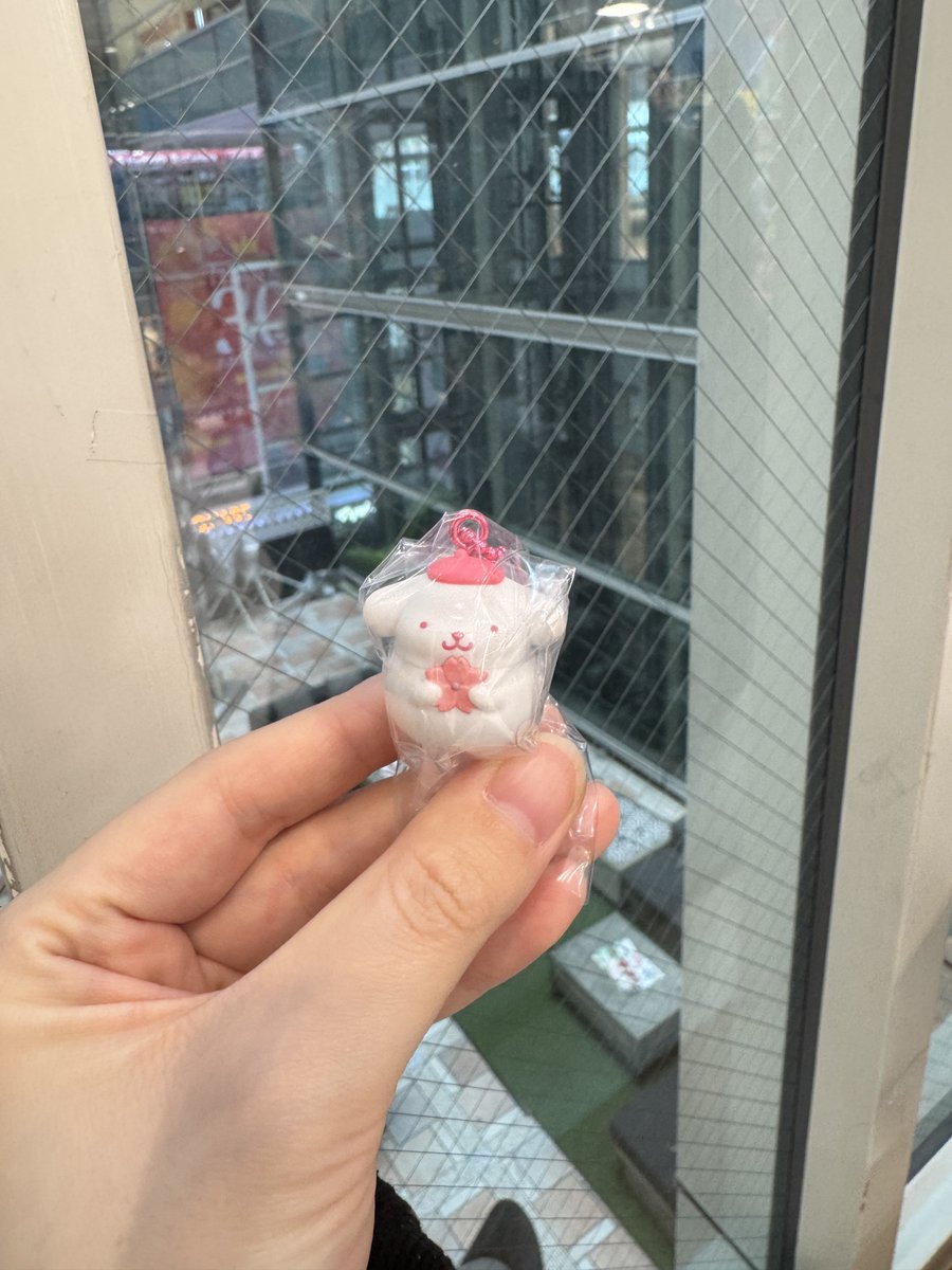 えごま❁︎固ツイ一読お願いします︎❁︎ tweet media