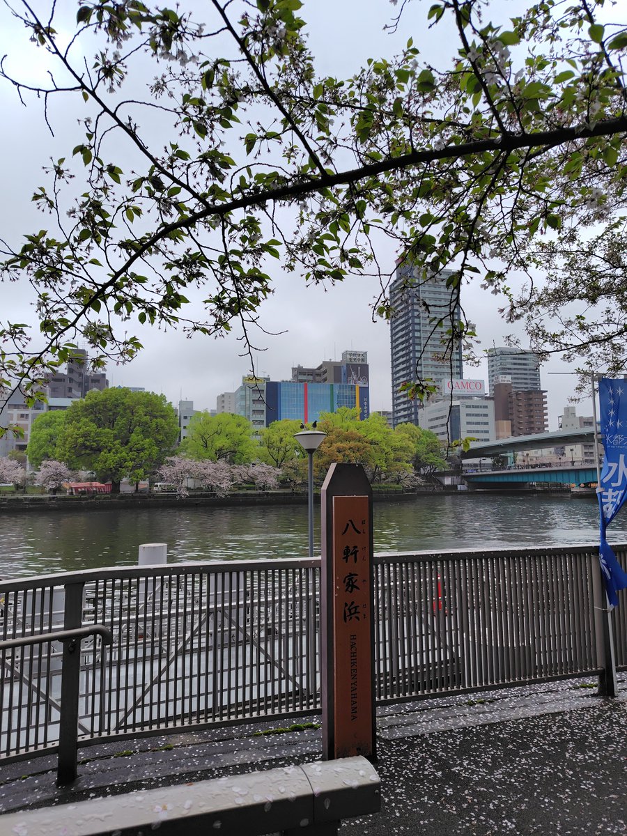 trans_american's tweet photo. 大阪天満橋にきた。昨日の雨で、大川沿いの桜はかなり散ってました https://t.co/T2O1tqAyRS