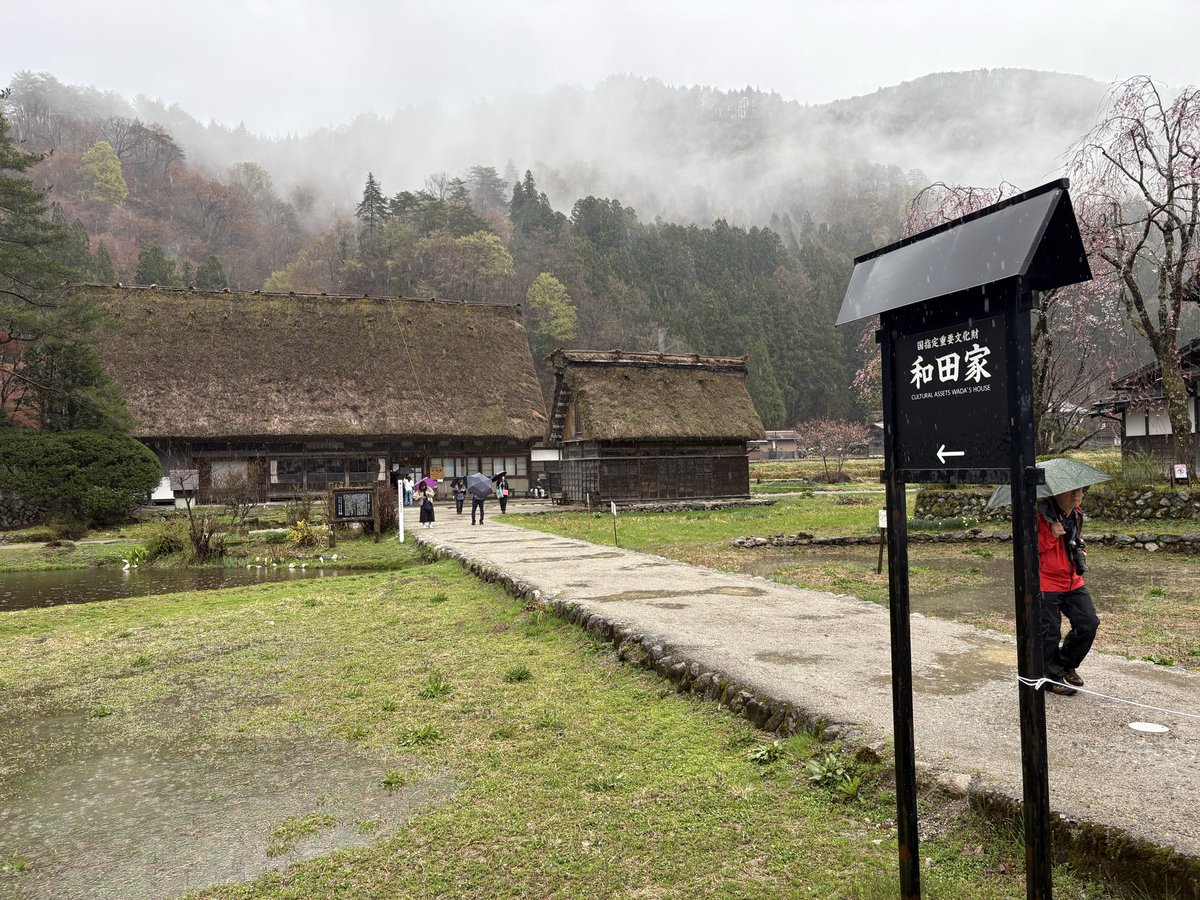 こころ tweet media