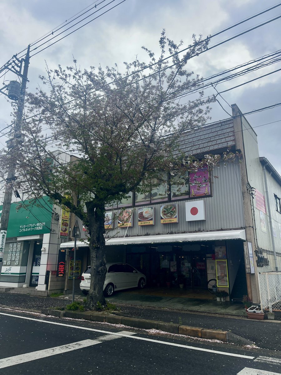 iamnuchcha's tweet photo. 当店は毎日午前11時から午前0時（深夜0時）まで営業しております。 #chumpornthaimassageチュムポンTAイマッサージョップ #shimotate #รับสมัครหมอนวด #ชุมพรนวดแผนไทย 
308-0841 筑西市二木成1395番地 , 2階 Tel : 070 2643 4447 https://t.co/nqtxKAElPv