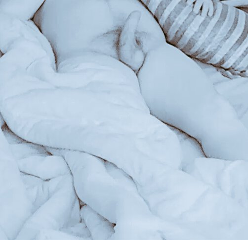 lobo_Activ's tweet photo. Así andamos sin poder dormir...

Quién jala para un tribilín por Sam's de la noria....🐻🐻🥵🍑🍆🍆🥚🥚🥚🥚🐽💦💦💦😋😋🤤🤤 https://t.co/o61VlF3FiO