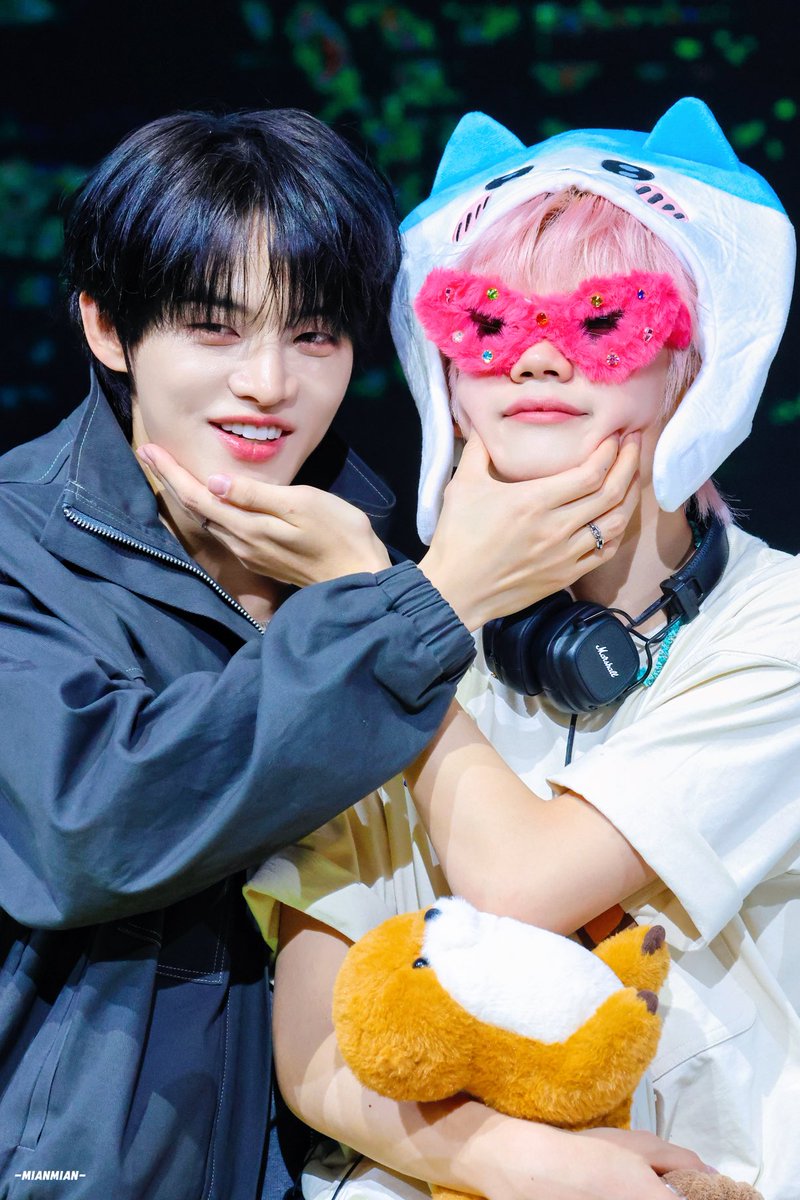 미연mian tweet media