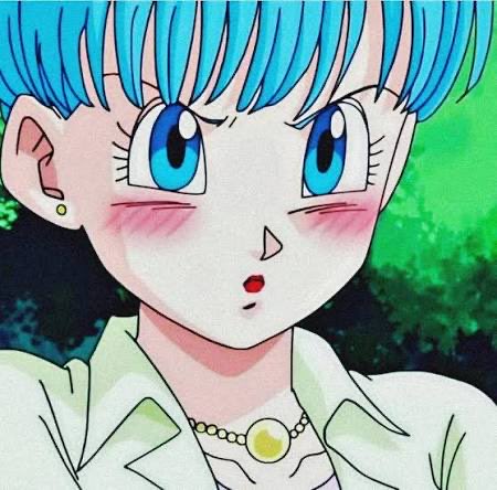 Bulma Briefs tweet media