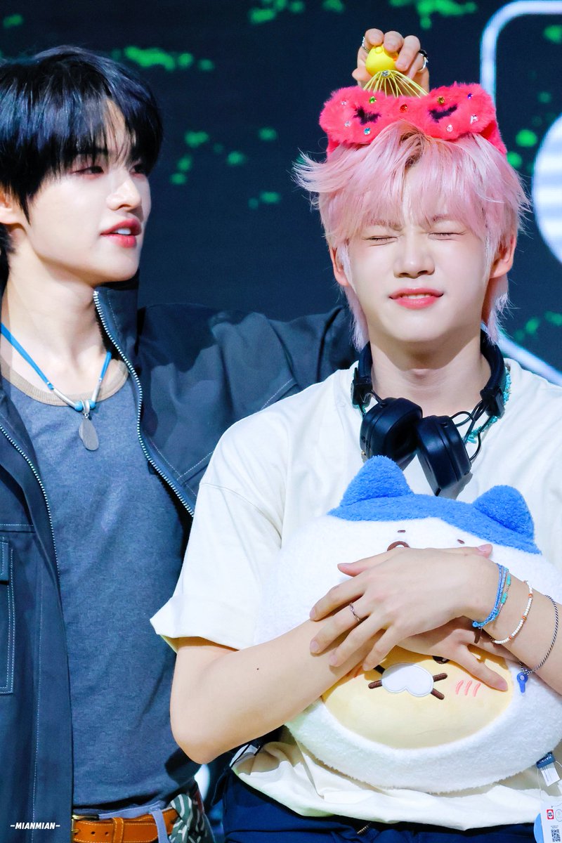 미연mian tweet media