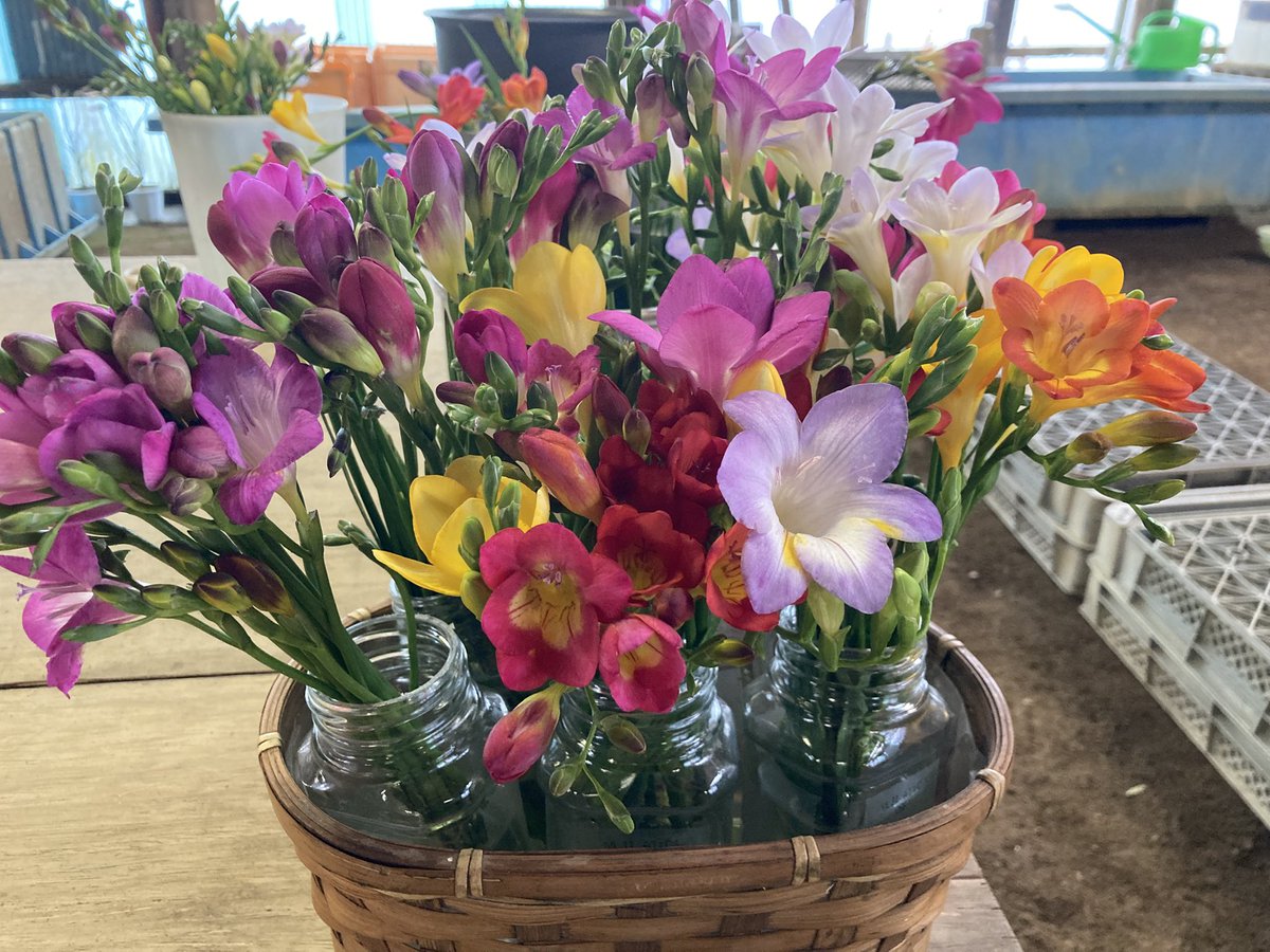 でびるP tweet media