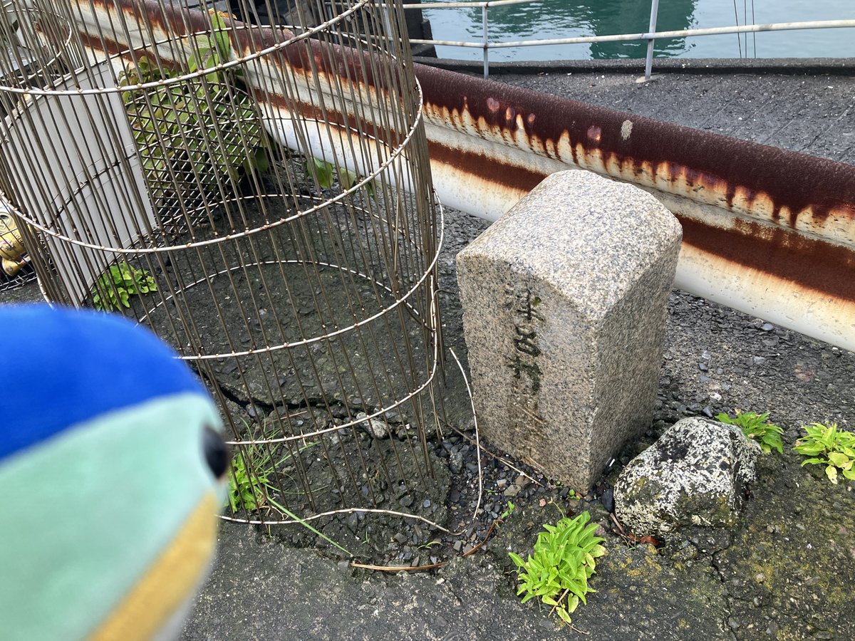 ブリ、世界だよ tweet media