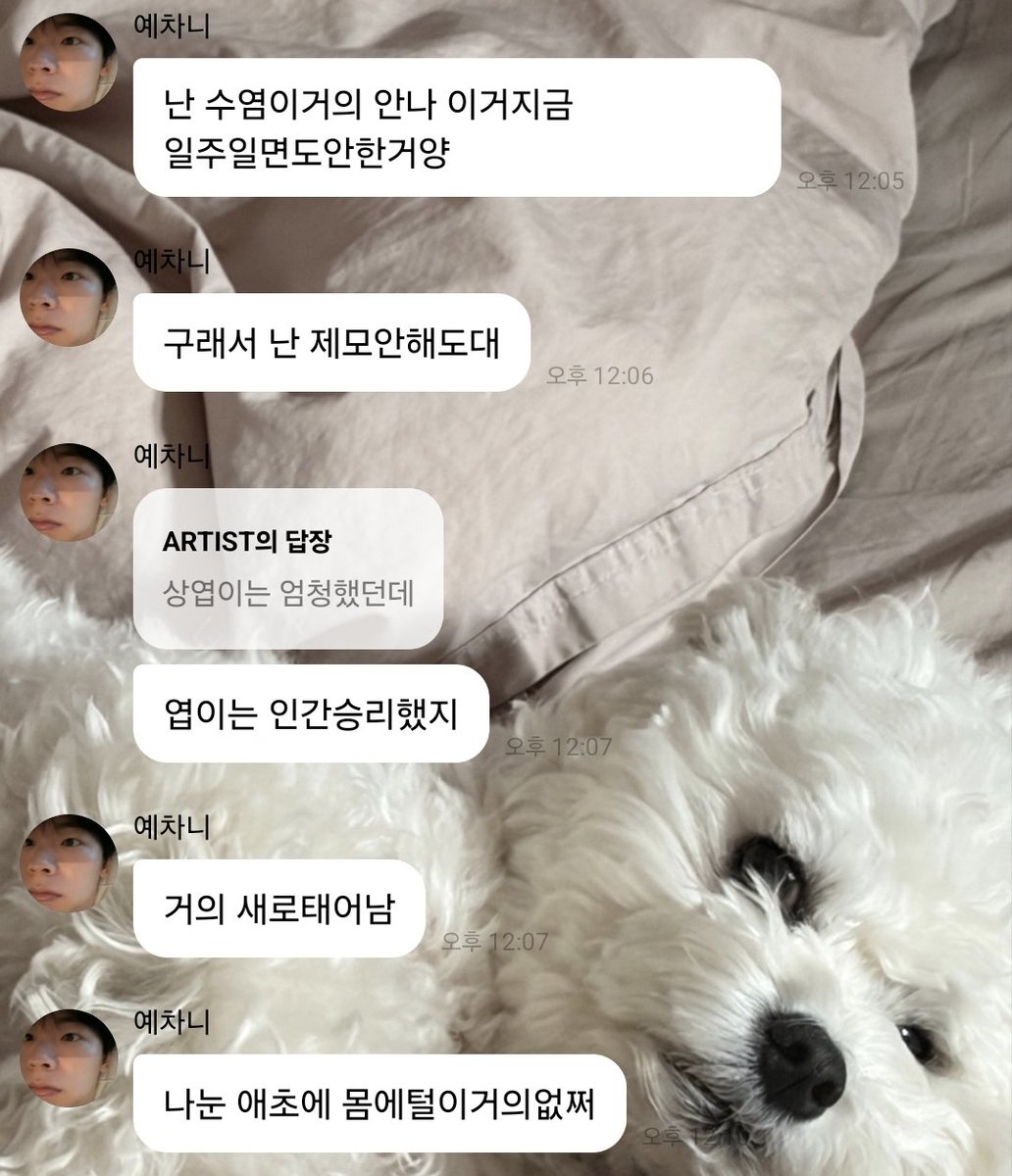 이얏호 tweet media