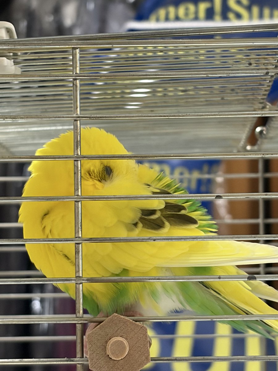 あああ【東2 と43b】 tweet media