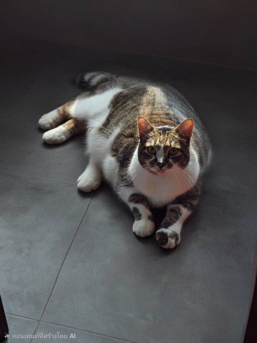 วิภา tweet media