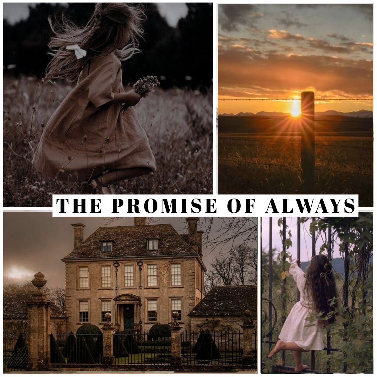 McCoven 🖤 tweet media