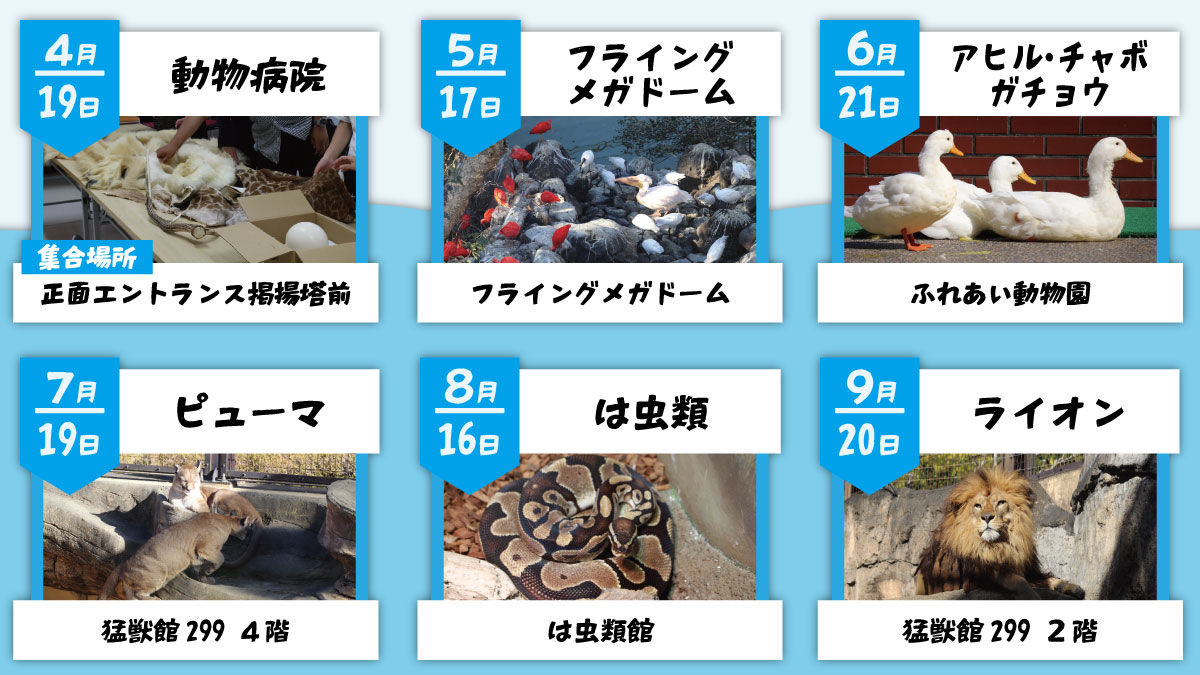 静岡市立日本平動物園 tweet media