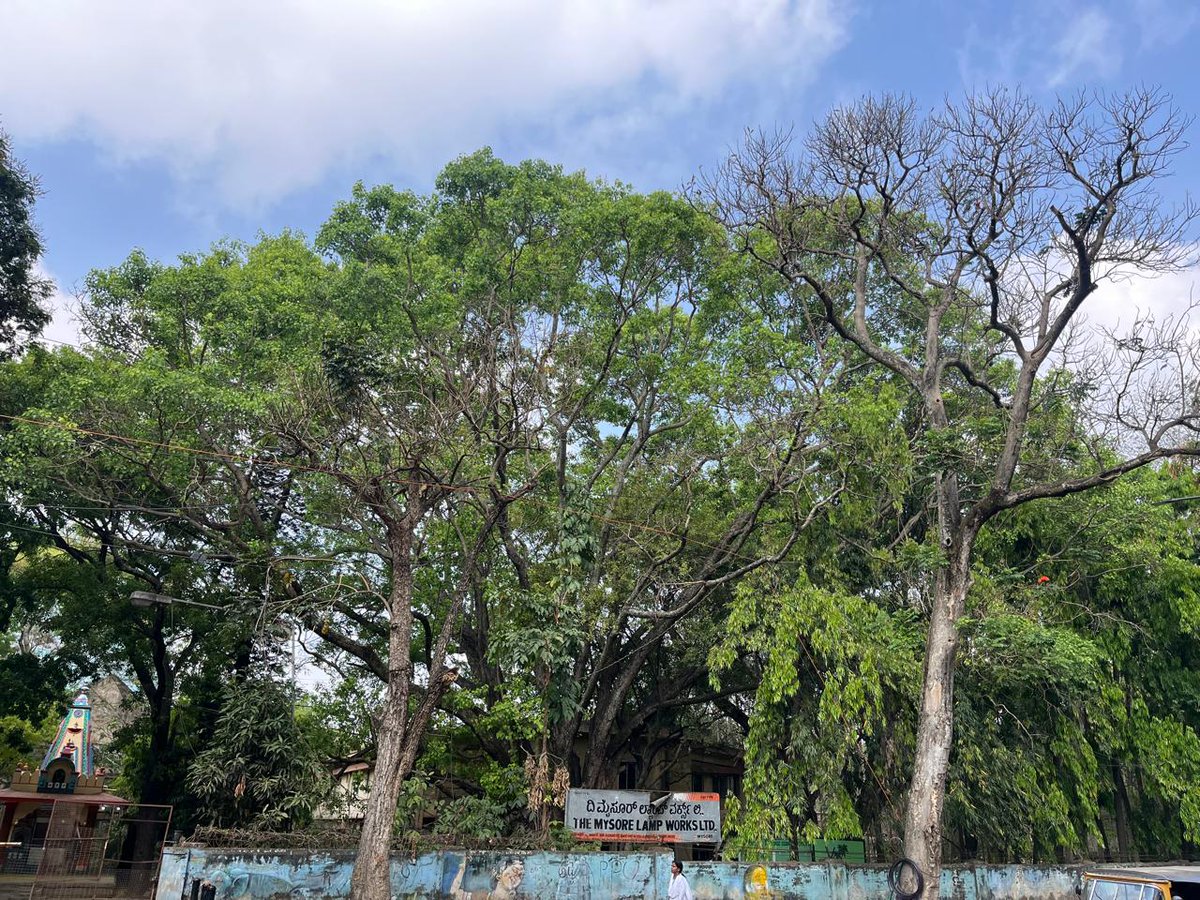 Vinod Dsouza tweet media