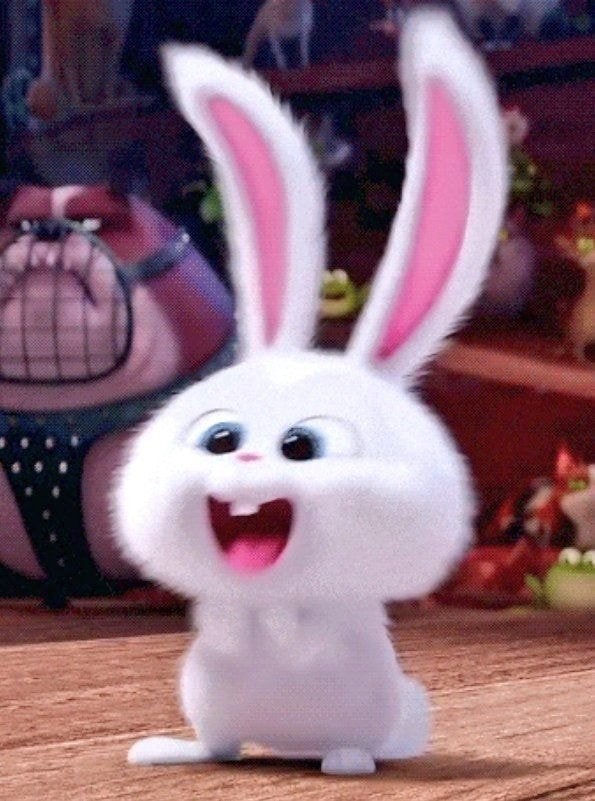 🦊모쥬💫 tweet media