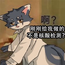 再見亦是淚 tweet media