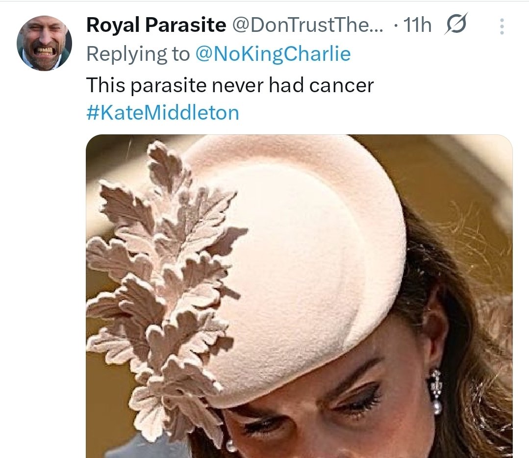 Rainey Day tweet media